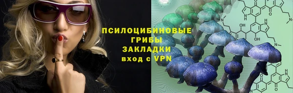 гашик Вязники