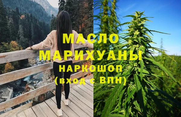 гидра Вязьма