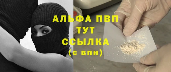 гидра Вязьма
