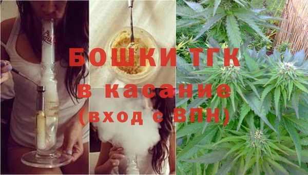 гидра Вязьма