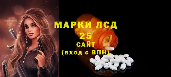 гидра Вязьма