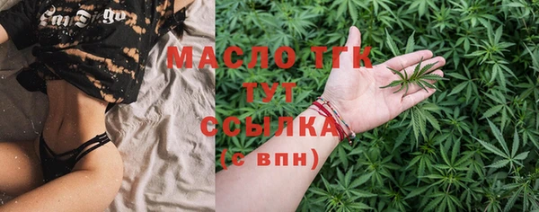 тгк Горняк