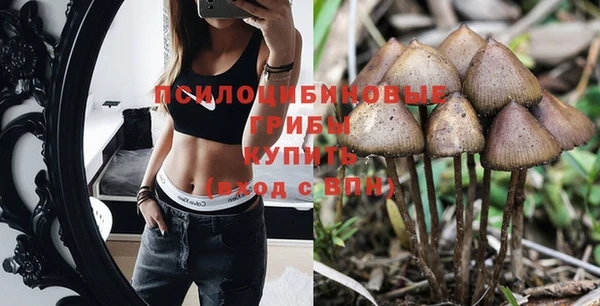 ГАЛЛЮЦИНОГЕННЫЕ ГРИБЫ Горно-Алтайск