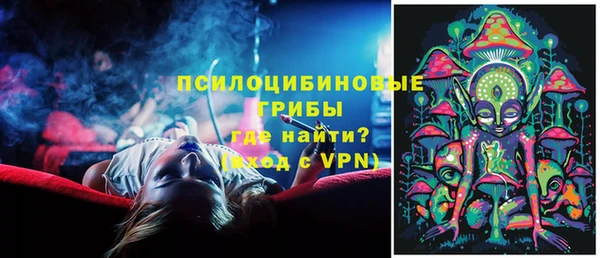 бошки Горнозаводск
