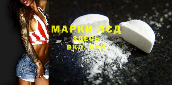 гидра Вязьма