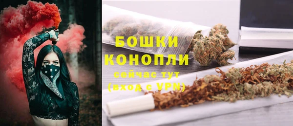 ГАЛЛЮЦИНОГЕННЫЕ ГРИБЫ Горно-Алтайск