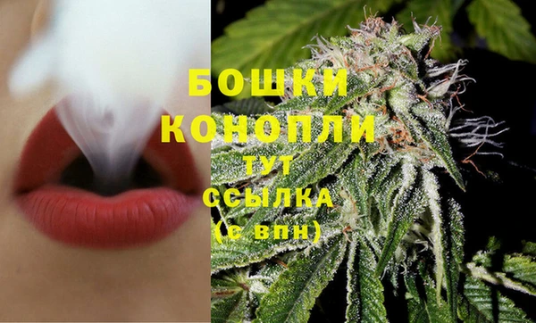 гашик Вязники